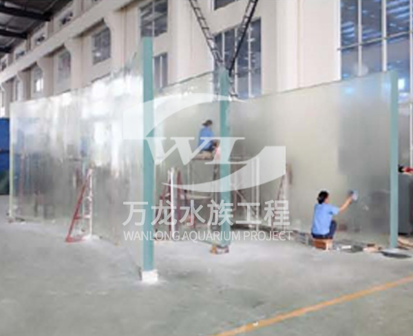 如何清理辦公室魚缸