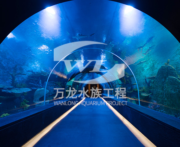 無邊際泳池如何應(yīng)對(duì)突發(fā)事件？