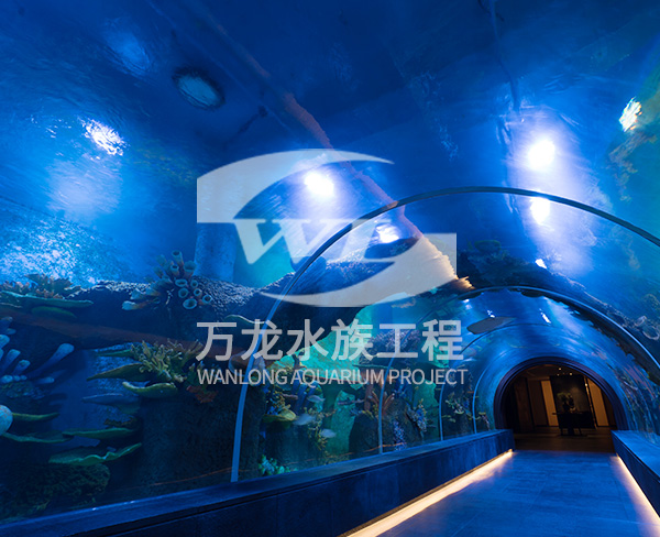 水族工程的成本如何控制？