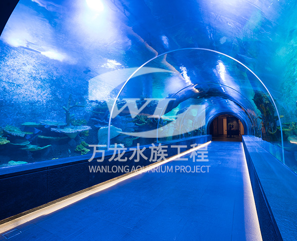 大型海洋主題公園如何構(gòu)建景觀和布局？