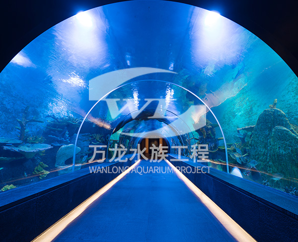 海洋餐廳的設計和施工需要考慮哪些因素？