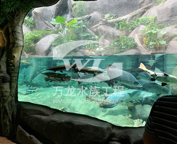 水族工程如何構(gòu)建景觀和布局？