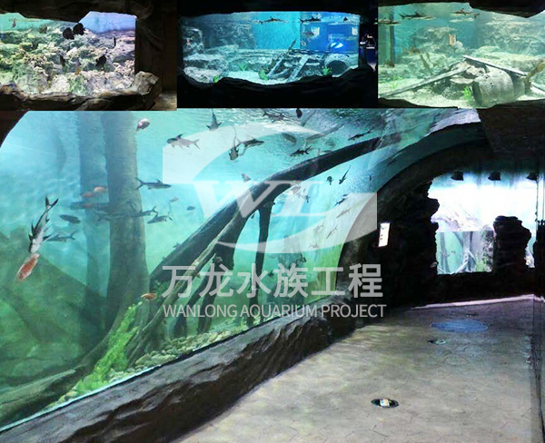 水族工程的工作原理是什么？