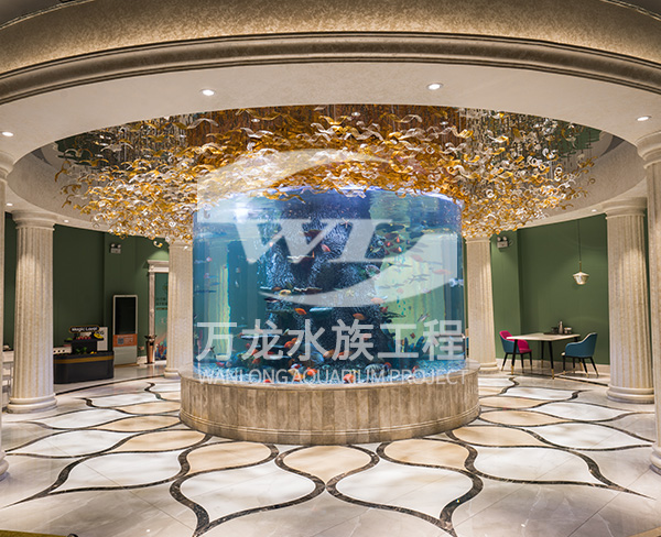 萌寵樂園的發(fā)展趨勢和未來前景如何？