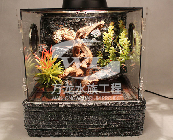 大型亞克力觀賞魚缸的耐用性如何？