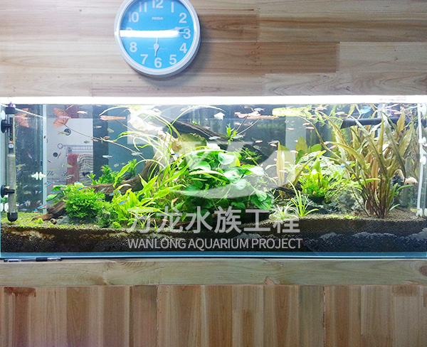 負(fù)壓魚(yú)缸