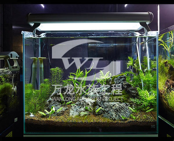 負(fù)壓魚(yú)缸