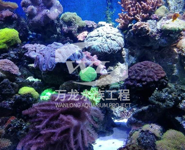 海底景觀設(shè)計(jì)