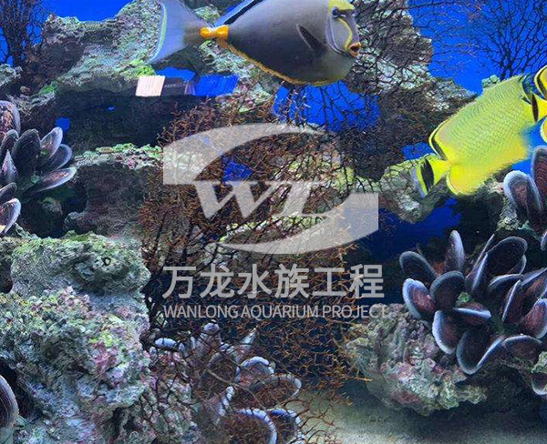 海底景觀設(shè)計(jì)