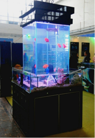 如何辨別亞克力魚缸的材質(zhì)？