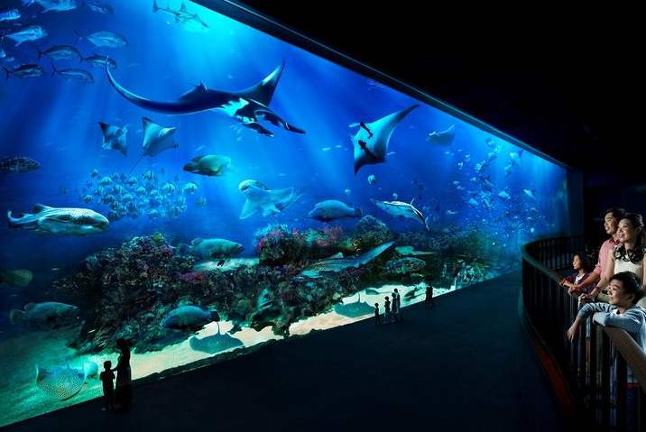 如何辨別負壓魚缸的材質(zhì)？