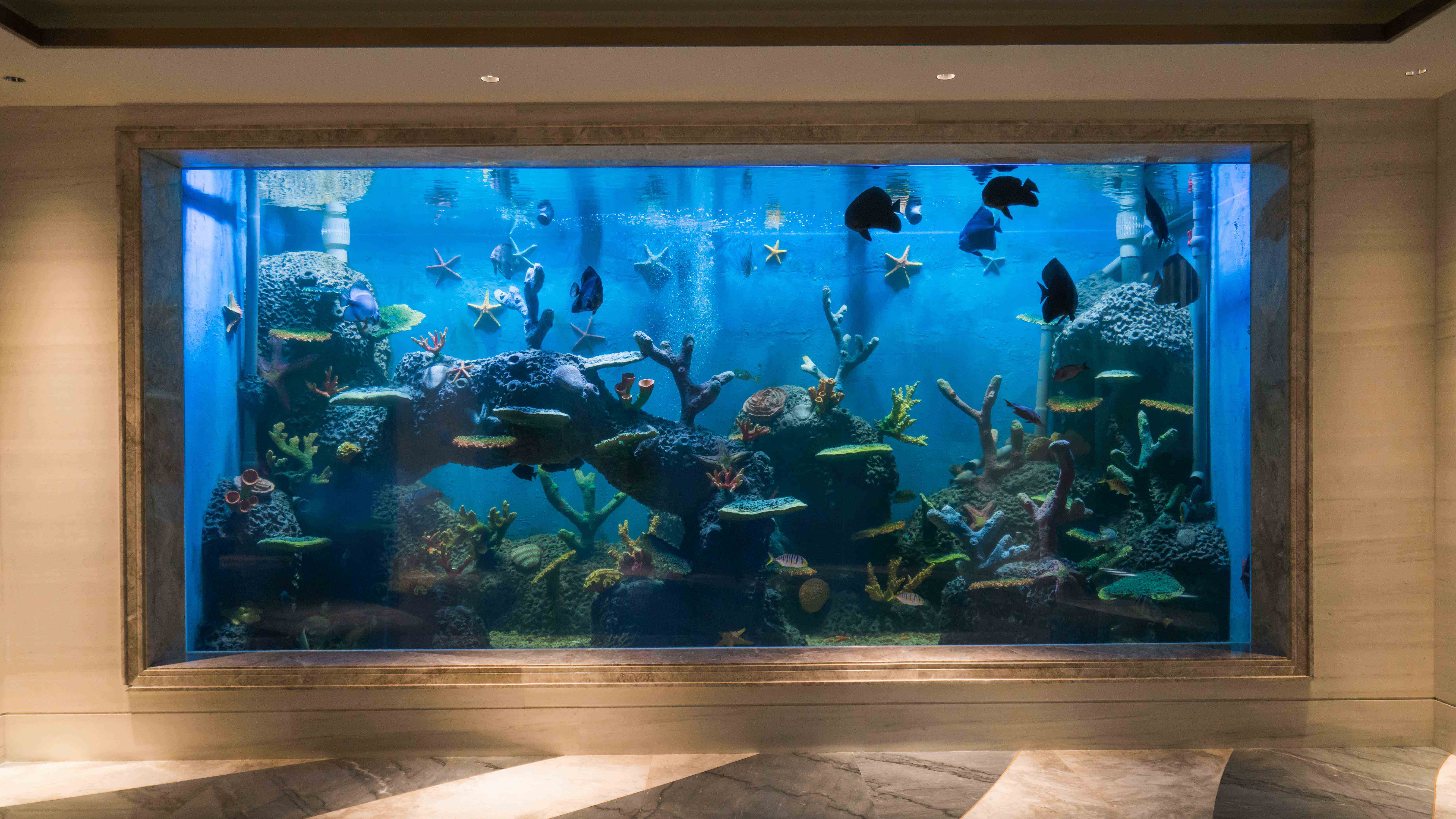 如何辨別表演魚缸的材質(zhì)？