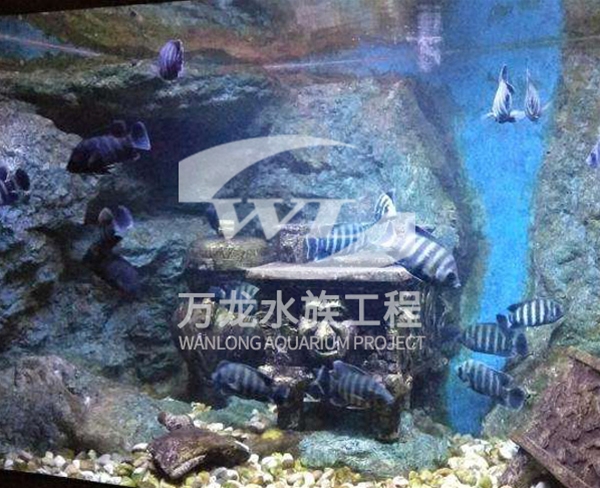 浙江安吉亞海底景觀設計