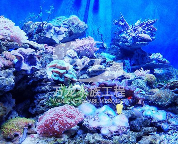 杭州云棲玫瑰園海底景觀設計