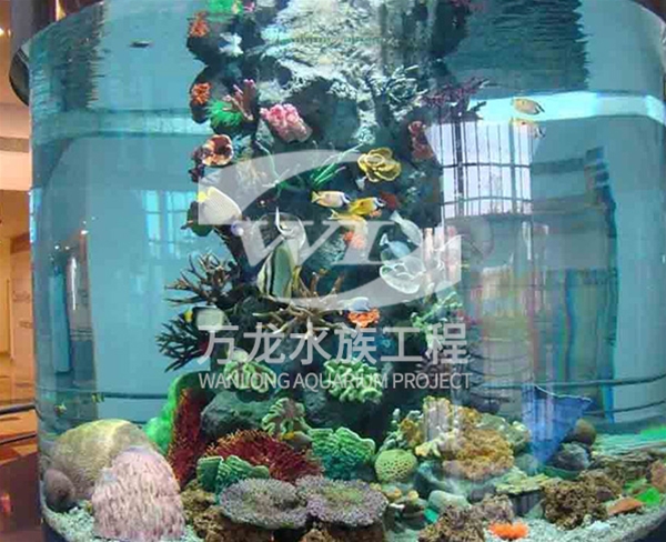 釣蝦魚缸玻璃的功能