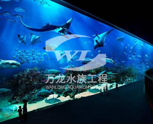 西寧萬達海底景觀設計