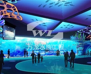 喂奶魚魚缸日常維護方法