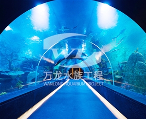 負壓魚缸日常維護方法