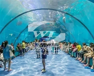 錦鯉魚缸的過濾器使用特點(diǎn)