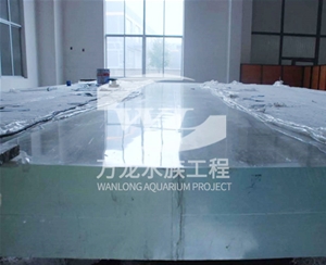 大型魚缸的維護(hù)操作是什么