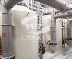 喂奶魚魚缸玻璃的功能