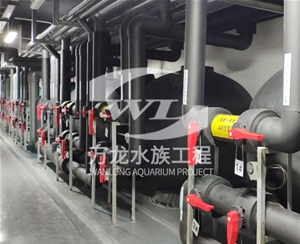 觀賞魚缸缸體表面發(fā)黃怎么解決