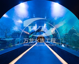 表演魚缸缸體表面發(fā)黃怎么解決