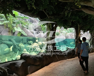 如何辨別喂奶魚魚缸的材質(zhì)？