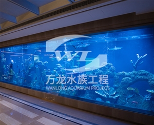 如何辨別亞克力觀賞魚缸的材質(zhì)？