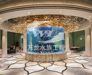 飯店魚缸的過濾器使用特點