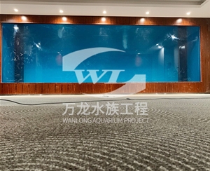 負(fù)壓魚缸爆裂是什么問題呢？    