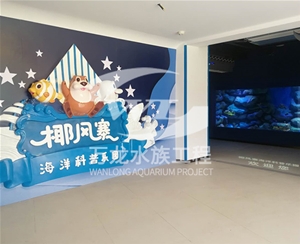 負(fù)壓魚缸日常維護(hù)方法