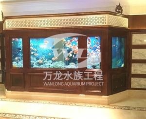 如何清理辦公室魚缸