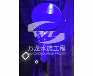 表演魚缸的維護(hù)操作是什么