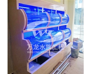 吃奶魚魚缸日常維護方法