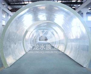 喂奶魚(yú)魚(yú)缸為什么有異味