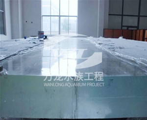 錦鯉魚缸的過濾器使用特點