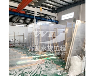 喂奶魚魚缸的維護(hù)操作是什么