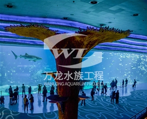 三步制作喂奶魚魚缸