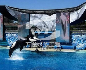 飯店魚缸的過濾器使用特點