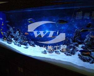 觀賞魚缸玻璃的功能