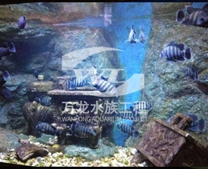如何清理亞克力魚(yú)缸