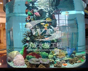 如何辨別喂奶魚魚缸的材質(zhì)？