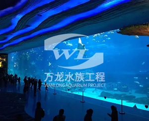 如何清理觀賞魚缸