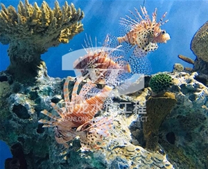 負(fù)壓魚缸缸體表面發(fā)黃怎么解決