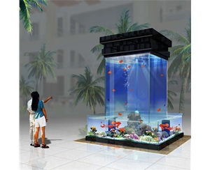 如何清理飯店魚缸