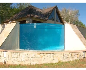 家庭魚缸為什么有異味