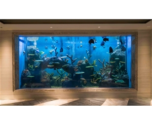 釣蝦魚缸為什么有異味