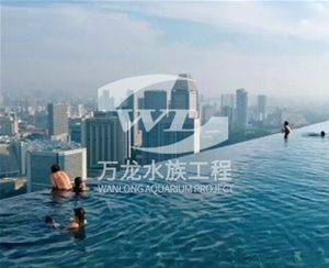 觀賞魚缸的過濾器使用特點(diǎn)