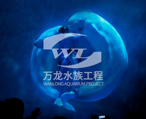 表演魚缸玻璃的功能